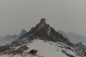 gallery grid image