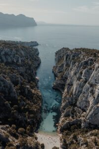gallery grid image