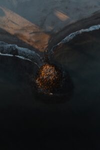 gallery grid image