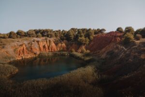 gallery grid image