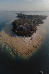 gallery grid image