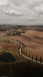 gallery grid image