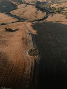 gallery grid image