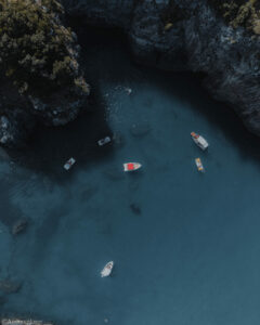 gallery grid image